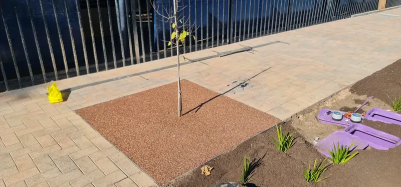 Terracotta RockPave tree pit set into block paving