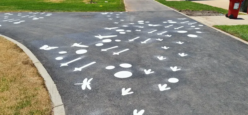 White animal track stencils leading along a park path