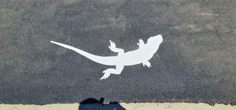 White goanna stencil applied to an asphalt path